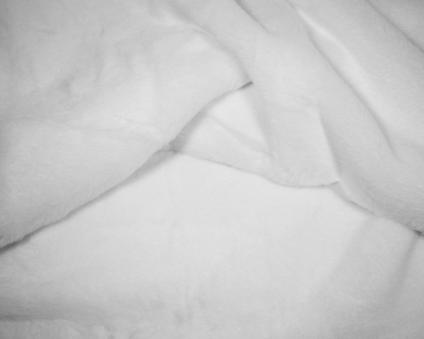 Ivory White Short Pile