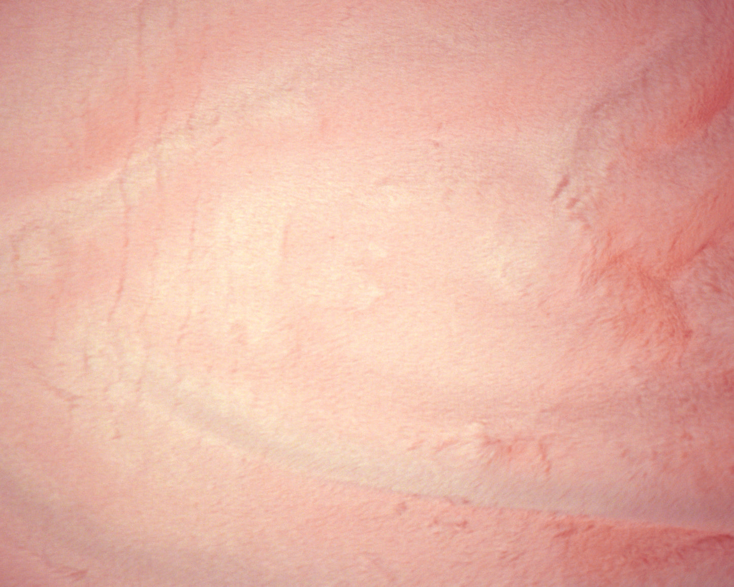 Rose Pink Short Pile
